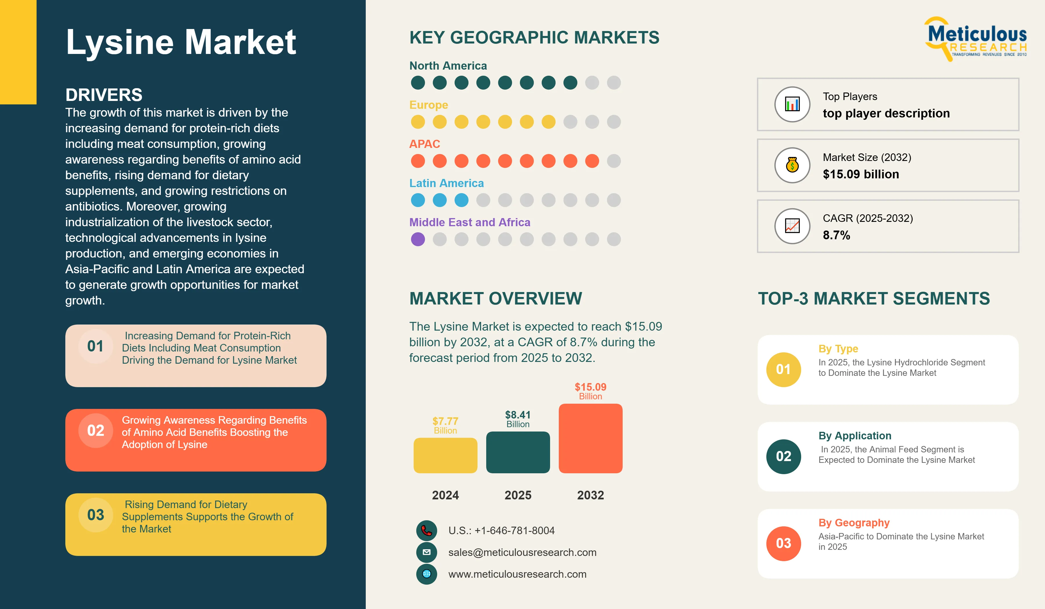 Lysine Market - Global Opportunity Analysis and Industry Forecast (2025-2032) infographic