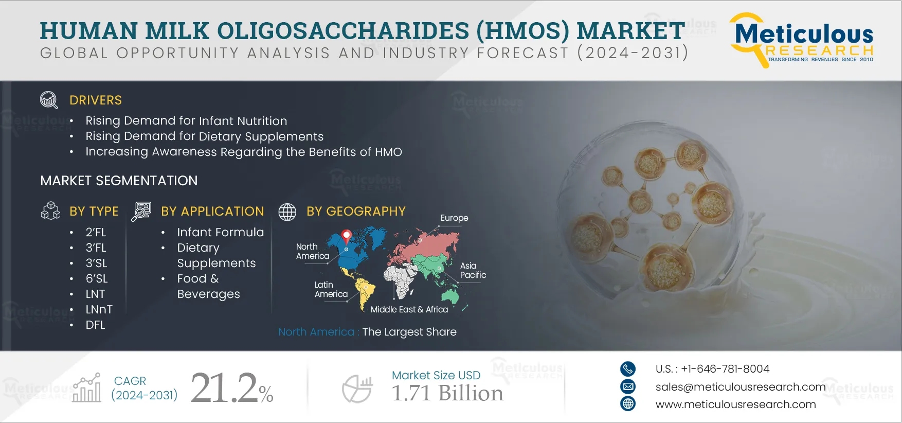  Human Milk Oligosaccharides (HMOs) Market