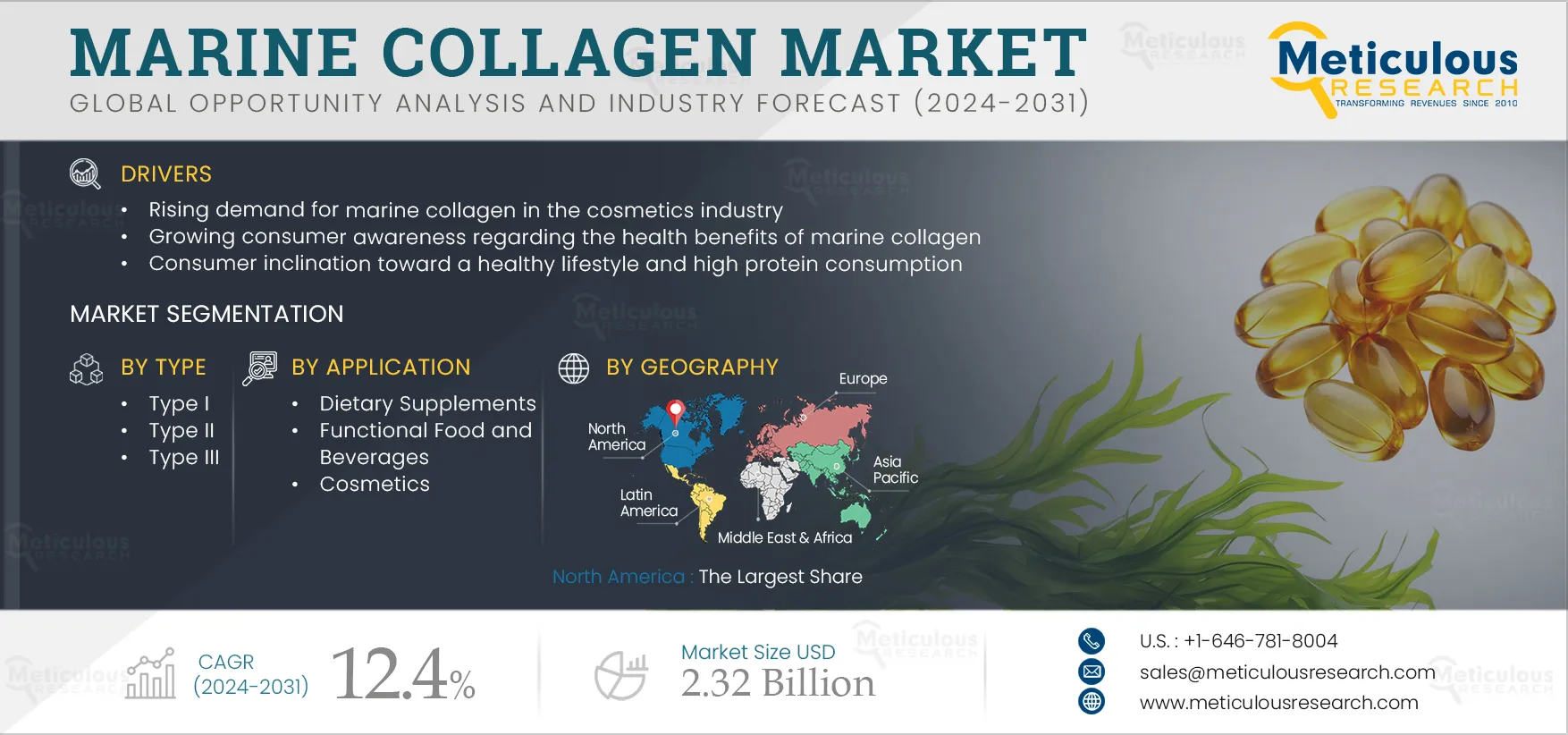 Marine Collagen Market 