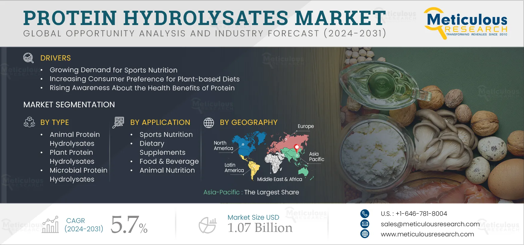 Protein Hydrolysates Market